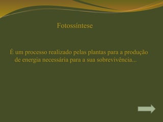 Fotossíntese
É um processo realizado pelas plantas para a produção
de energia necessária para a sua sobrevivência...
 