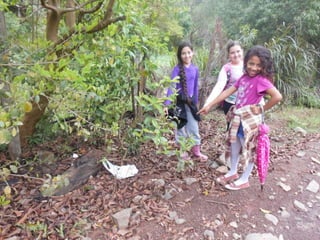 Trabalho de ciências   3º ano