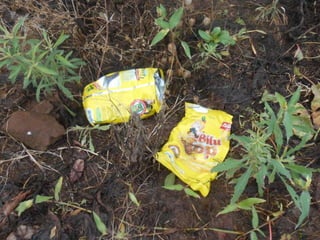 Trabalho de ciências   3º ano