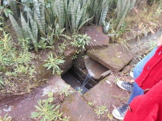 Trabalho de ciências   3º ano