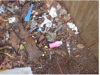 Trabalho de ciências   3º ano