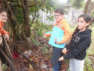 Trabalho de ciências   3º ano