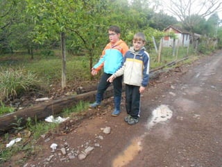 Trabalho de ciências   3º ano