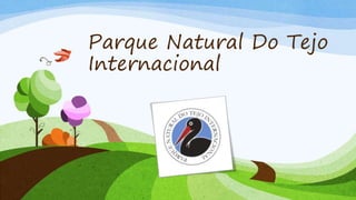 Parque Natural Do Tejo
Internacional
 