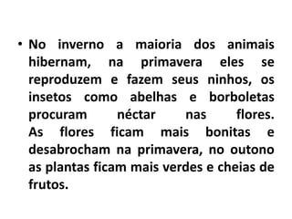 • No inverno a maioria dos animais
hibernam, na primavera eles se
reproduzem e fazem seus ninhos, os
insetos como abelhas e borboletas
procuram néctar nas flores.
As flores ficam mais bonitas e
desabrocham na primavera, no outono
as plantas ficam mais verdes e cheias de
frutos.
 