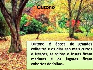 Outono
Outono é época de grandes
colheitas e os dias são mais curtos
e frescos, as folhas e frutas ficam
maduras e os lugares ficam
cobertos de folhas.
 