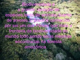 Biodiversidade é
a grande variação de
espécies,tanto de animais,quanto
de arvores.O Brasil é conhecido
por ser um dos Países que mais a
fronteira da biodiversidade do
mundo todo,sendo estas mesmas
encontradas na floresta
amazônica.
 