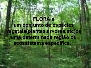 FLORA é
um conjunto de espécies
vegetais(plantas,arvores,etc)de
uma determinada região ou
ecossistema especifica.
 