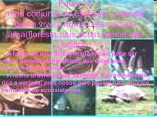 Fauna é
uma conjunto de espécies animais
quem vivem numa determinada
área(floresta,país,ecossistema,esp
ecifico
A fauna de uma determinada região pode ser
muito variada, dependendo das condições
ambientais existentes.
A fauna brasileira, por exemplo, é extremamente
rica e variada, pois nosso país possui uma enorme
variedade de ecossistemas.
 