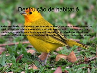 Destruição de habitat é
A destruição de habitat é um processo de mudança no uso da terra, através do
qual um tipo de habitat é removido e substituído por outro. No processo da
mudança, as plantas e animais que utilizavam o local, são deslocalizados ou
destruídos. Geralmente isto resulta na alteração ou redução da biodiversidade.
 