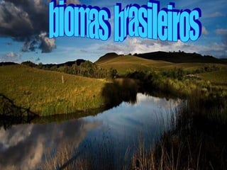 biomas  brasileiros 