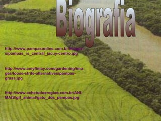 Biografia http://www.pampasonline.com.br/imagens/pampas_rs_central_jacuy-centro.jpg http://www.amyfinlay.com/gardening/images/loose-strife-alternatives/pampas-grass.jpg http://www.achetudoeregiao.com.br/ANIMAIS/gif_animal/gato_dos_pampas.jpg 