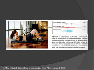 LIMA, C.S et al. Cinesiologia e musculação. Porto Alegre, Artmed, 2006.
 
