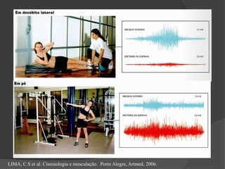 LIMA, C.S et al. Cinesiologia e musculação. Porto Alegre, Artmed, 2006.
 