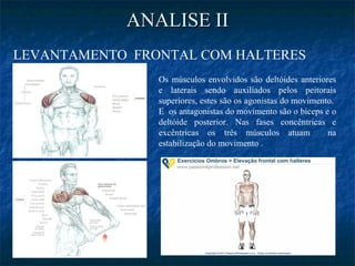 ANALISE II LEVANTAMENTO  FRONTAL COM HALTERES Os músculos envolvidos são deltóides anteriores e laterais sendo auxiliados ...