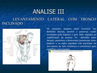 ANALISE III <ul><li>LEVANTAMENTO LATERAL COM TRONCO INCLINADO </li></ul>Os músculos atuantes neste exercício são deltóides...