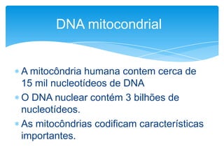 DNA mitocondrial

A mitocôndria humana contem cerca de
15 mil nucleotídeos de DNA
O DNA nuclear contém 3 bilhões de
nucleotídeos.
As mitocôndrias codificam características
importantes.

 