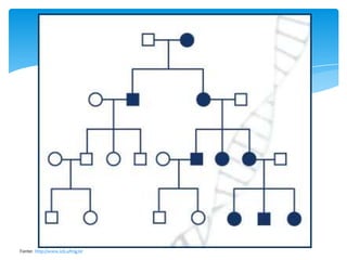 Fonte: http://www.icb.ufmg.br

 