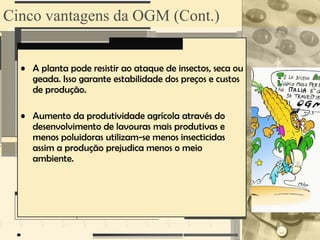 Cinco vantagens da OGM (Cont.)


  • A planta pode resistir ao ataque de insectos, seca ou
    geada. Isso garante estabilidade dos preços e custos
    de produção.

  • Aumento da produtividade agrícola através do
    desenvolvimento de lavouras mais produtivas e
    menos poluidoras utilizam-se menos insecticidas
    assim a produção prejudica menos o meio
    ambiente.
 