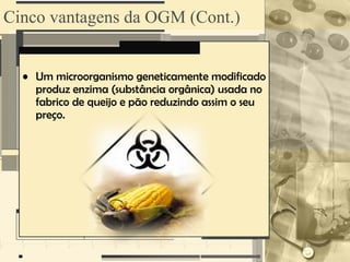 Cinco vantagens da OGM (Cont.)


  • Um microorganismo geneticamente modificado
    produz enzima (substância orgânica) usada no
    fabrico de queijo e pão reduzindo assim o seu
    preço.
 