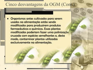 Cinco desvantagens da OGM (Cont.)

• Organismos antes cultivados para serem
  usados na alimentação estão sendo
  modificados para produzirem produtos
  farmacêuticos e químicos. Essas plantas
  modificadas poderiam fazer uma polinização
  cruzada com espécies semelhantes e, deste
  modo, contaminar plantas utilizadas
  exclusivamente na alimentação.
 