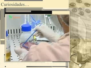 Curiosidades…
 