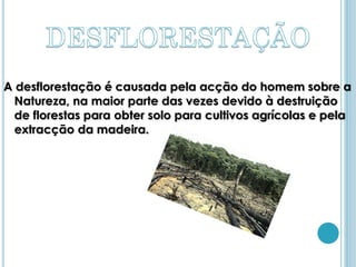 A desflorestação é causada pela acção do homem sobre a
  Natureza, na maior parte das vezes devido à destruição
  de florestas para obter solo para cultivos agrícolas e pela
  extracção da madeira.
 