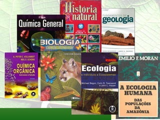 Filosofia da Educação - Seminário sobre Cognição (28.junho.11)
