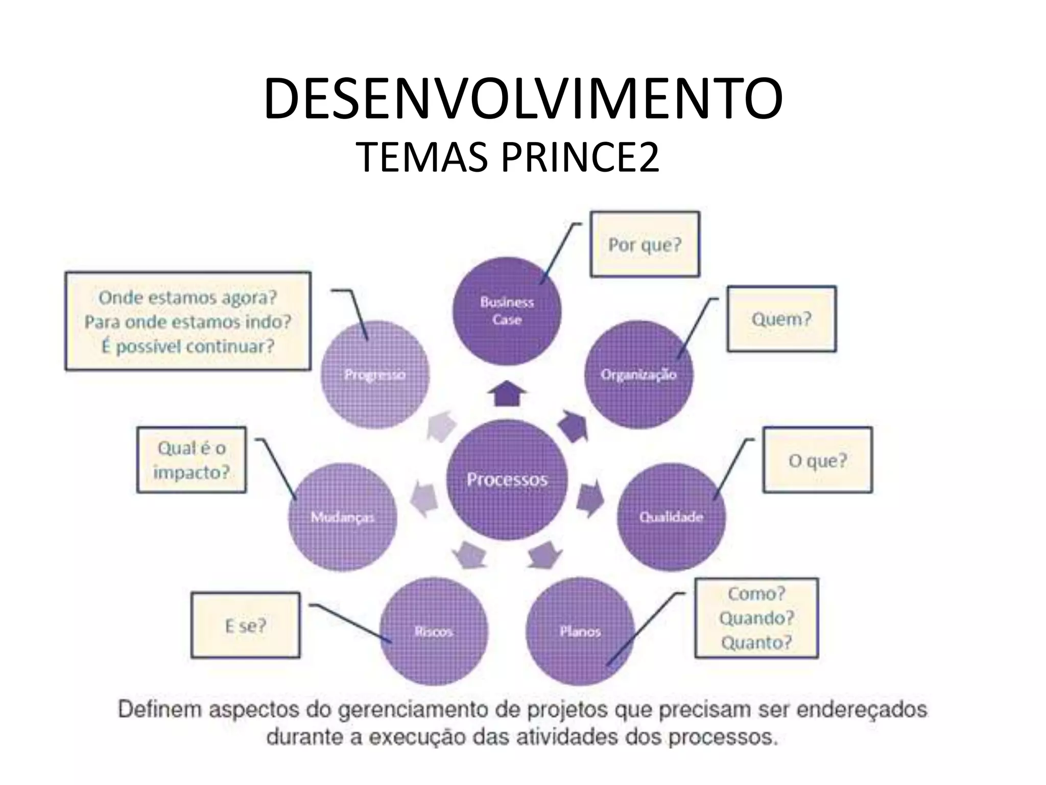 DESENVOLVIMENTO
TEMAS PRINCE2
 