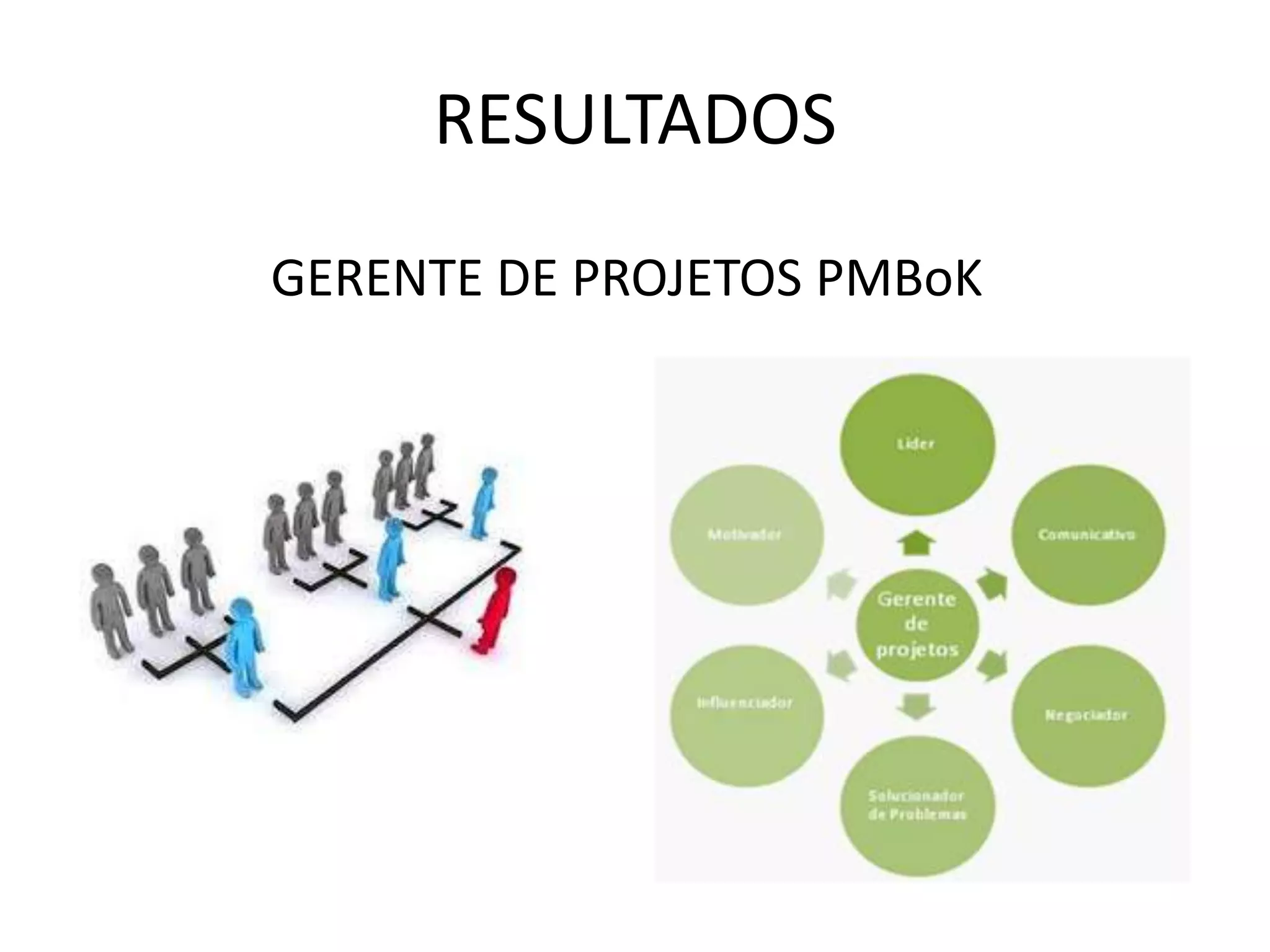 RESULTADOS
GERENTE DE PROJETOS PMBoK
 