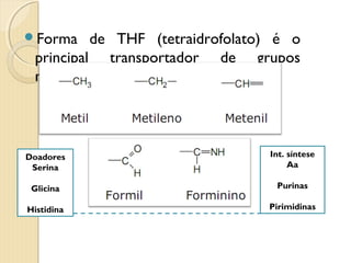Forma    de THF (tetraidrofolato) é o
 principal transportador de grupos
 metílicos




Doadores                         Int. síntese
 Serina                               Aa

 Glicina                          Purinas

Histidina                        Pirimidinas
 