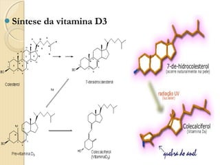 Síntese   da vitamina D3
 