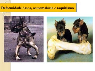 Deformidade óssea, osteomalácia e raquitismo
Deformidade óssea, osteomalácia e raquitismo
 