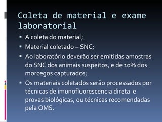 Coleta de material e exame laboratorial A coleta do material; Material coletado – SNC; Ao laboratório deverão ser emitidas amostras do SNC dos animais suspeitos, e de 10% dos morcegos capturados; Os materiais coletados serão processados por técnicas de imunofluorescencia direta  e provas biológicas, ou técnicas recomendadas pela OMS. 
