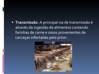 Transmissão  :A principal via de transmissão é através da ingestão de alimentos contendo farinhas de carne e ossos provenientes de carcaças infectadas pelo príon.  