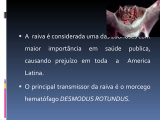 A  raiva é considerada uma das zoonoses com maior importância em saúde publica, causando prejuízo em toda  a  America Latina. O principal transmissor da raiva é o morcego hematófago  DESMODUS ROTUNDUS. 