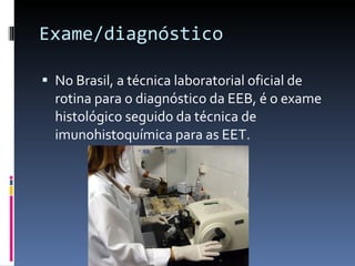 Exame/diagnóstico No Brasil, a técnica laboratorial oficial de rotina para o diagnóstico da EEB, é o exame histológico seguido da técnica de imunohistoquímica para as EET. 