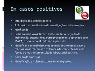 Em casos positivos Interdição do estabelecimento Aplicação do questionário de investigação epidemiológica Notificação Se ha animais vivos, fazer o abate sanitário, seguido de incineração, enterrá-lo ou outro procedimento aprovado pelo MAPA, e deve ser realizado sob supervisão. Identificar o animal e isolar os animais de alto risco: a avo, a mãe, as irmas maternas e as femeas descendentes de uma femea ou macho com resultado laboratorial positivo. Colheita de amostras Identificação e isolamento de animais expostos. 