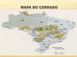 MAPA DO CERRADO
 