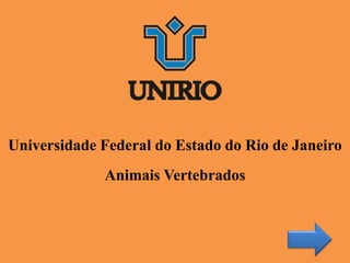 Universidade Federal do Estado do Rio de Janeiro
Animais Vertebrados
 