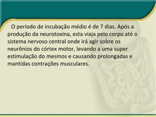 O período de incubação médio é de 7 dias. Após a produção da neurotoxina, esta viaja pelo corpo até o sistema nervoso central onde irá agir sobre os neurônios do córtex motor, levando a uma super estimulação do mesmos e causando prolongadas e mantidas contrações musculares. 