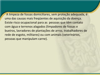 A limpeza de fossas domiciliares, sem proteção adequada, é uma das causas mais freqüentes de aquisição da doença. Existe risco ocupacional para as  pessoas que têm contato com água e terrenos alagados (limpadores de fossas e bueiros, lavradores de plantações de arroz, trabalhadores de rede de esgoto, militares) ou com animais (veterinários, pessoas que manipulam carne).  