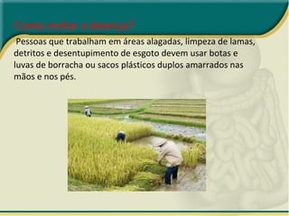 Como evitar a doença? Pessoas que trabalham em áreas alagadas, limpeza de lamas, detritos e desentupimento de esgoto devem usar botas e luvas de borracha ou sacos plásticos duplos amarrados nas mãos e nos pés.  