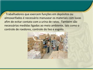 Trabalhadores que exercem funções em depósitos ou almoxarifados é necessário manusear os materiais com luvas afim de evitar contato com a urina de ratos.  Também são necessárias medidas ligadas ao meio ambiente, tais como o controle de roedores, controle do lixo e esgoto. 