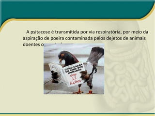 A psitacose é transmitida por via respiratória, por meio da aspiração de poeira contaminada pelos dejetos de animais doentes ou portadores.  