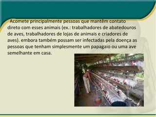 Acomete principalmente pessoas que mantêm contato direto com esses animais (ex.: trabalhadores de abatedouros de aves, trabalhadores de lojas de animais e criadores de aves).  embora também possam ser infectadas pela doença as pessoas que tenham simplesmente um papagaio ou uma ave semelhante em casa. 
