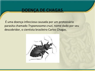DOENÇA DE CHAGAS  É uma doença infecciosa causada por um protozoário parasita chamado  Trypanosoma cruzi , nome dado por seu descobridor, o cientista brasileiro Carlos Chagas. 