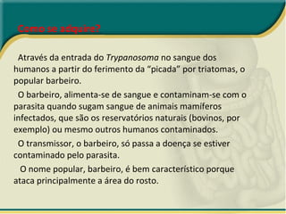 Como se adquire?  Através da entrada do  Trypanosoma  no sangue dos humanos a partir do ferimento da “picada” por triatomas, o popular barbeiro.  O barbeiro, alimenta-se de sangue e contaminam-se com o parasita quando sugam sangue de animais mamíferos infectados, que são os reservatórios naturais (bovinos, por exemplo) ou mesmo outros humanos contaminados. O transmissor, o barbeiro, só passa a doença se estiver contaminado pelo parasita. O nome popular, barbeiro, é bem característico porque ataca principalmente a área do rosto. 