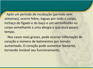 Após um período de incubação (período sem sintomas), ocorre febre, ínguas por todo o corpo, inchaço do fígado e do baço e um vermelhidão no corpo semelhante a uma alergia e que dura pouco tempo. Nos casos mais graves, pode ocorrer inflamação do coração e número de batimentos por minuto aumentado. O coração pode aumentar bastante, tornando inviável seu funcionamento. 