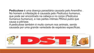 Pediculose é uma doença parasitária causada pelo Anemilho .
No homem a infestação é causada pelo Pediculus humanus,
que pode ser encontrado na cabeça e no corpo (Pediculus
humanus humanus), e nas partes íntimas Pthirus pubis que
causa a pitiríase.
A pediculose também é muito comum nos animais, sendo
causada por uma grande variedade de espécies específicas.

 